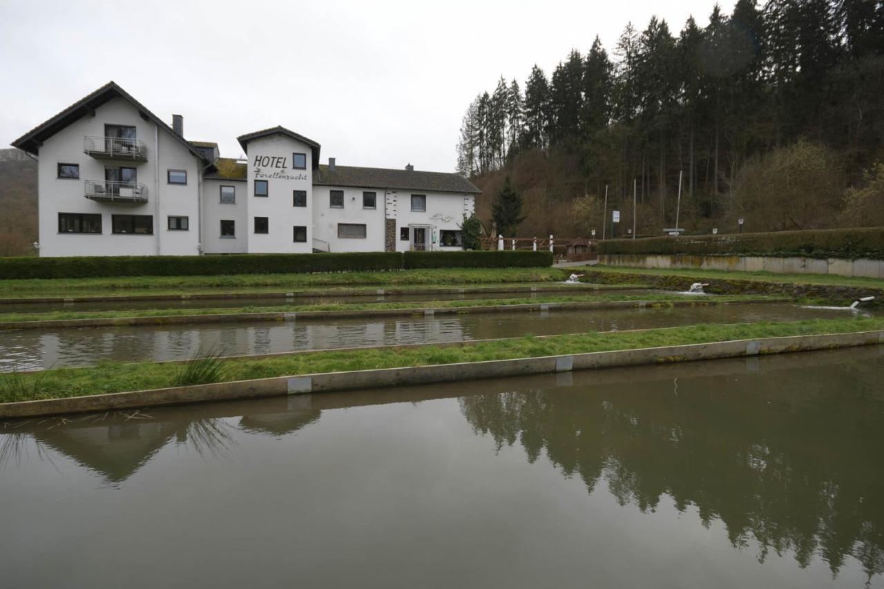 Zimmer Ohne Fruehstueck In Der Forellenzucht Burgen  Exteriér fotografie