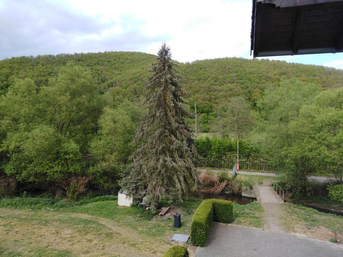 Zimmer Ohne Fruehstueck In Der Forellenzucht Burgen  Exteriér fotografie