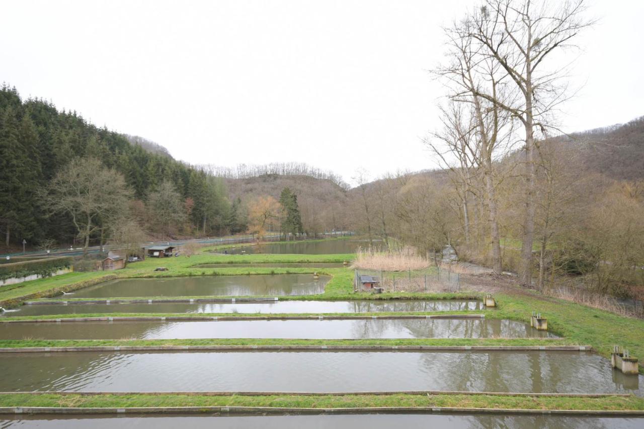 Zimmer Ohne Fruehstueck In Der Forellenzucht Burgen  Exteriér fotografie